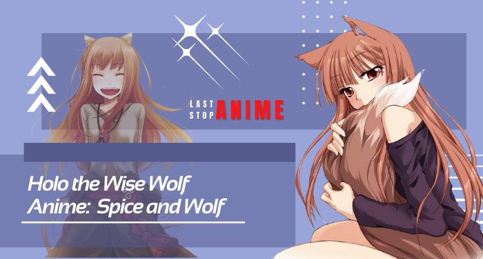 Holo the Wise Wolf from spice and wolf