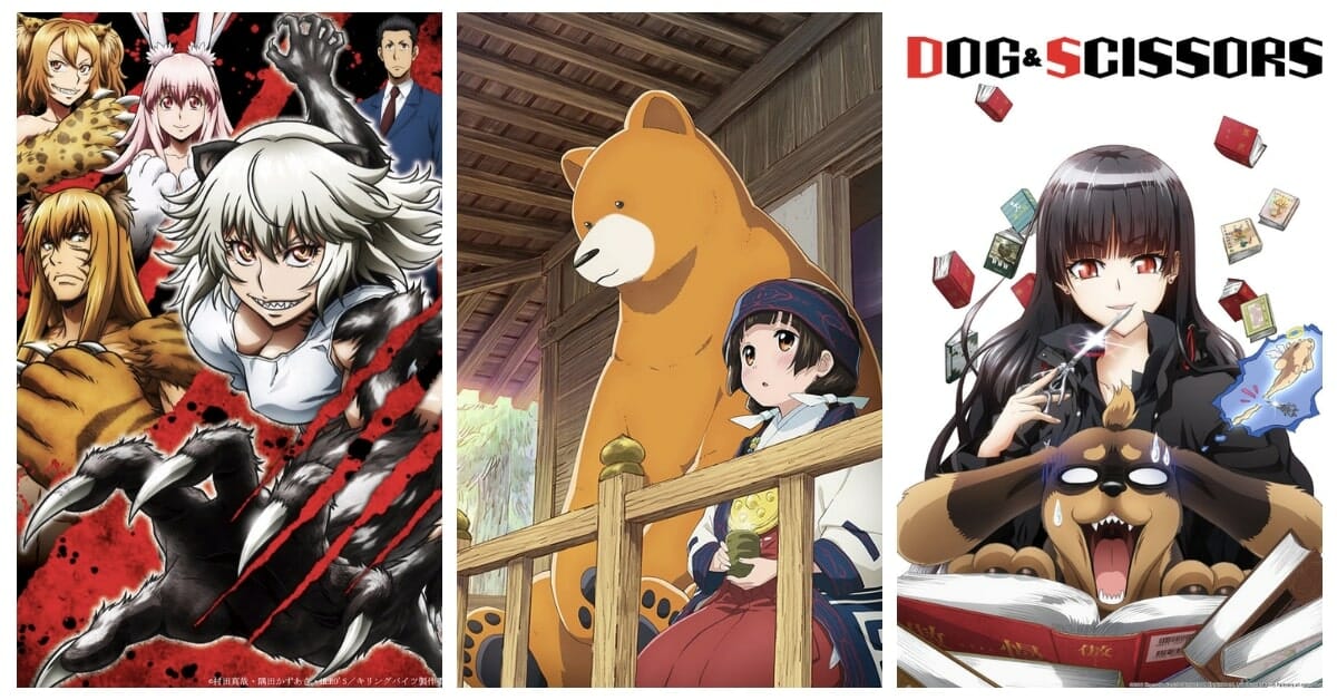 Furry Anime | 15 Best Recommendations - LAST STOP ANIME