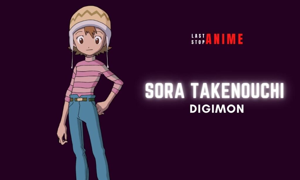 Sora Takenouchi from Digimon as anime tomboy