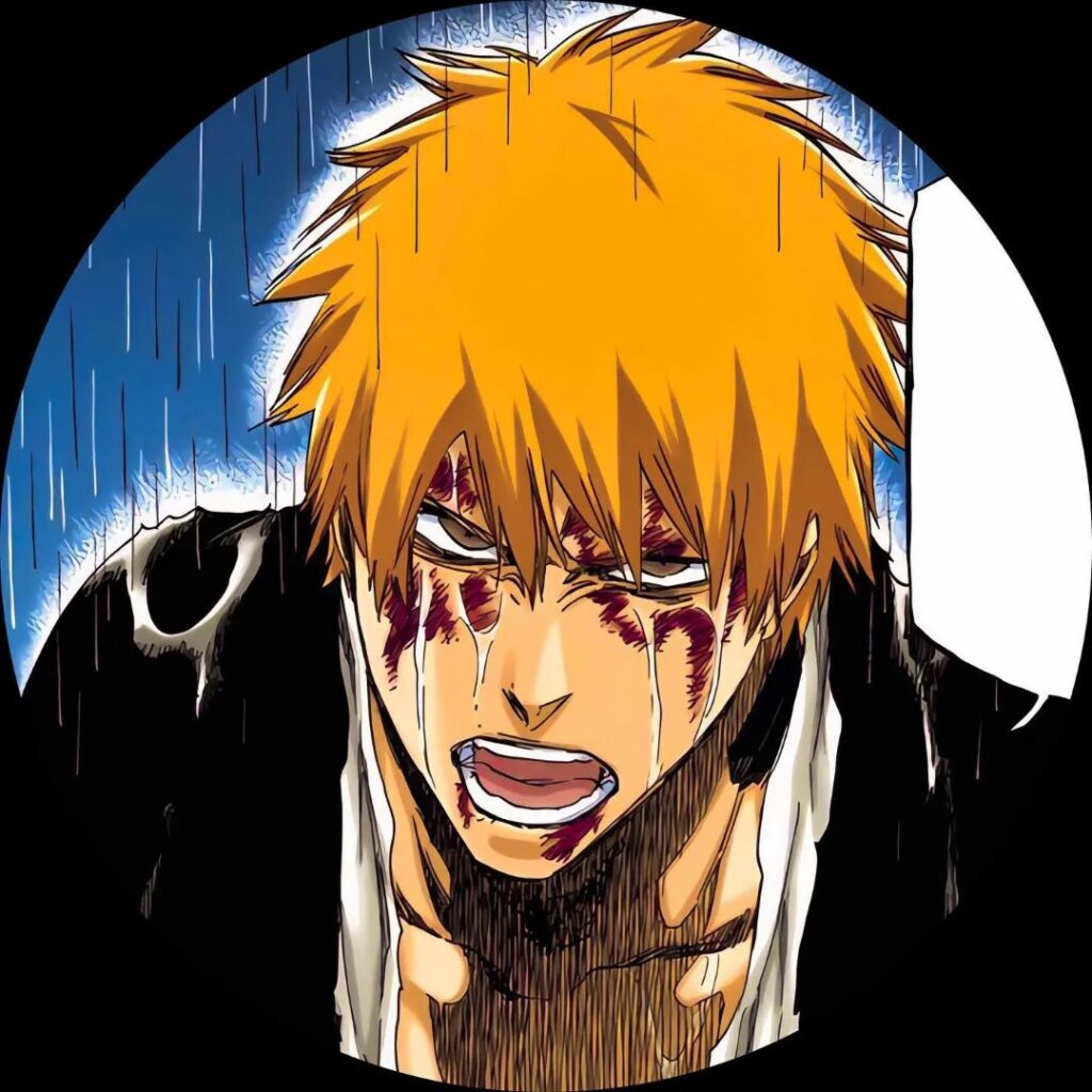 Ichigo Kurosaki PFP