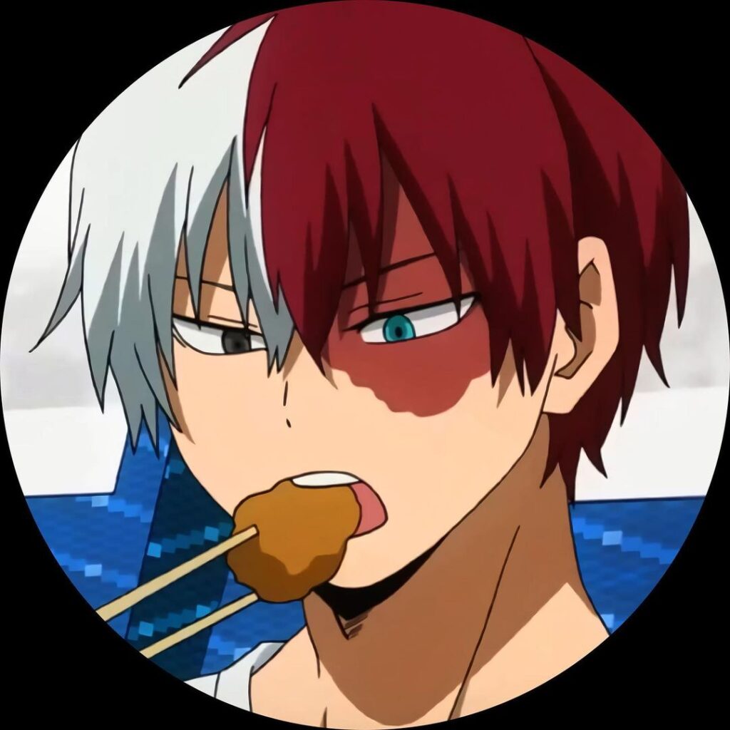 Shoto Todoroki 