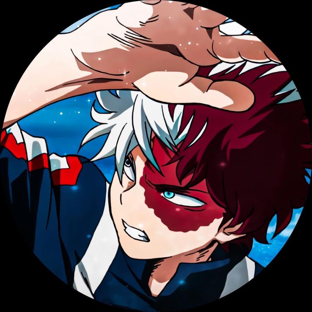 Shoto Todoroki 