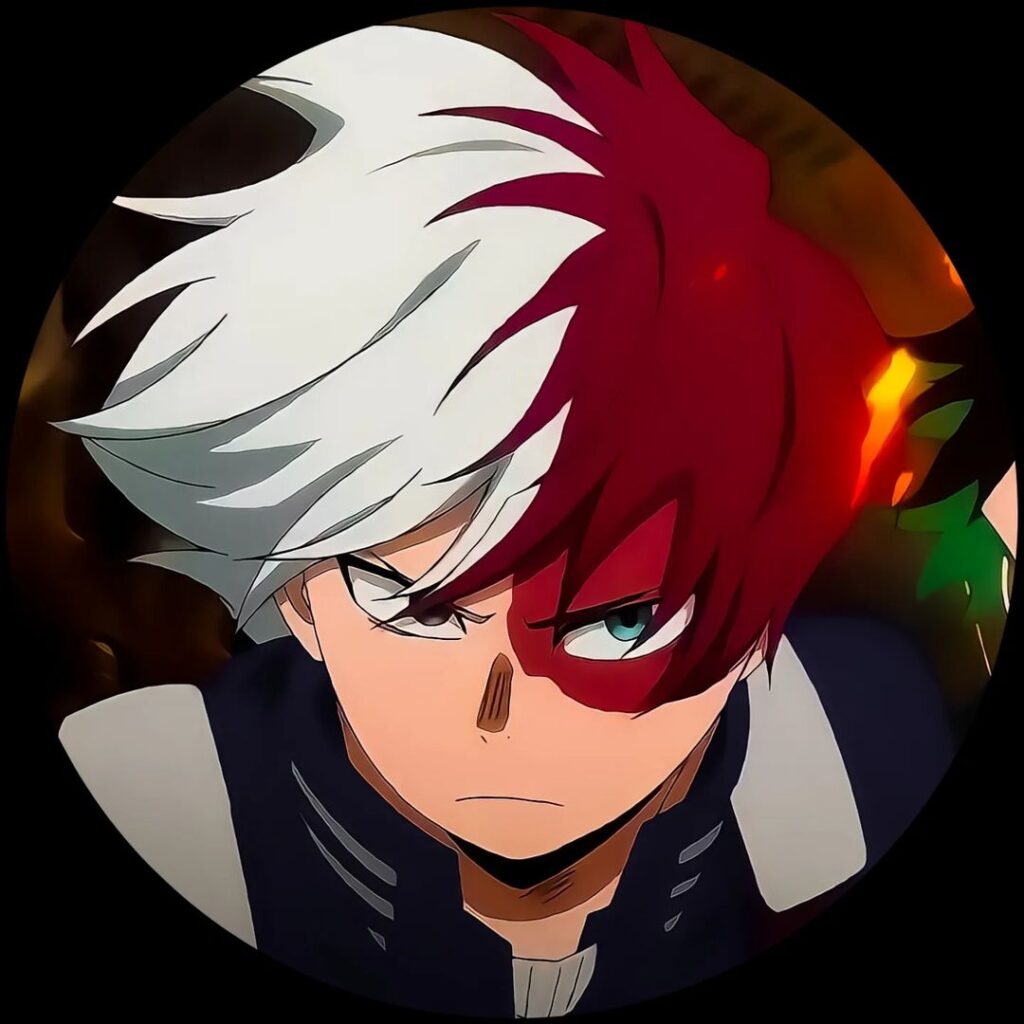 Shoto Todoroki 