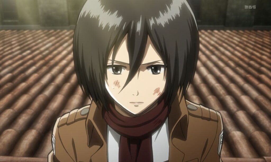 Mikasa is easily one of the best anime deuteragonists.